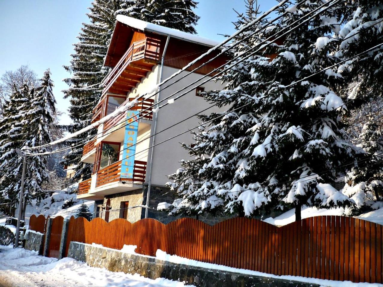 Pension Casa Soarelui Sinaia Kültér fotó